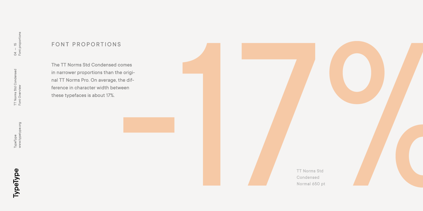 TT Norms Std Condensed Bold Italic Font preview